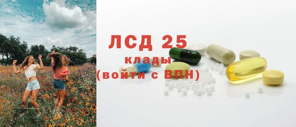 сатива Михайловск