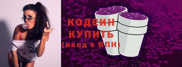 прущие грибы Михайлов