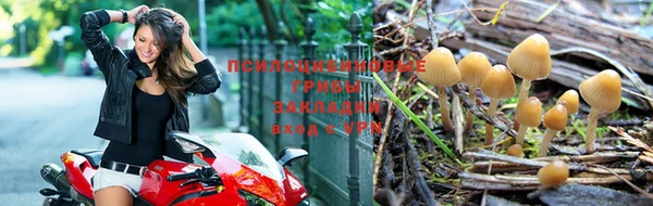 герыч Абинск