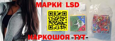 стаф Ярославль