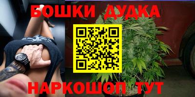 стаф Ярославль