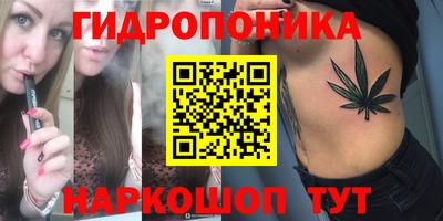 стаф Ярославль