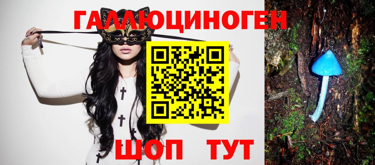 Псилоцибиновые грибы Cubensis Псков