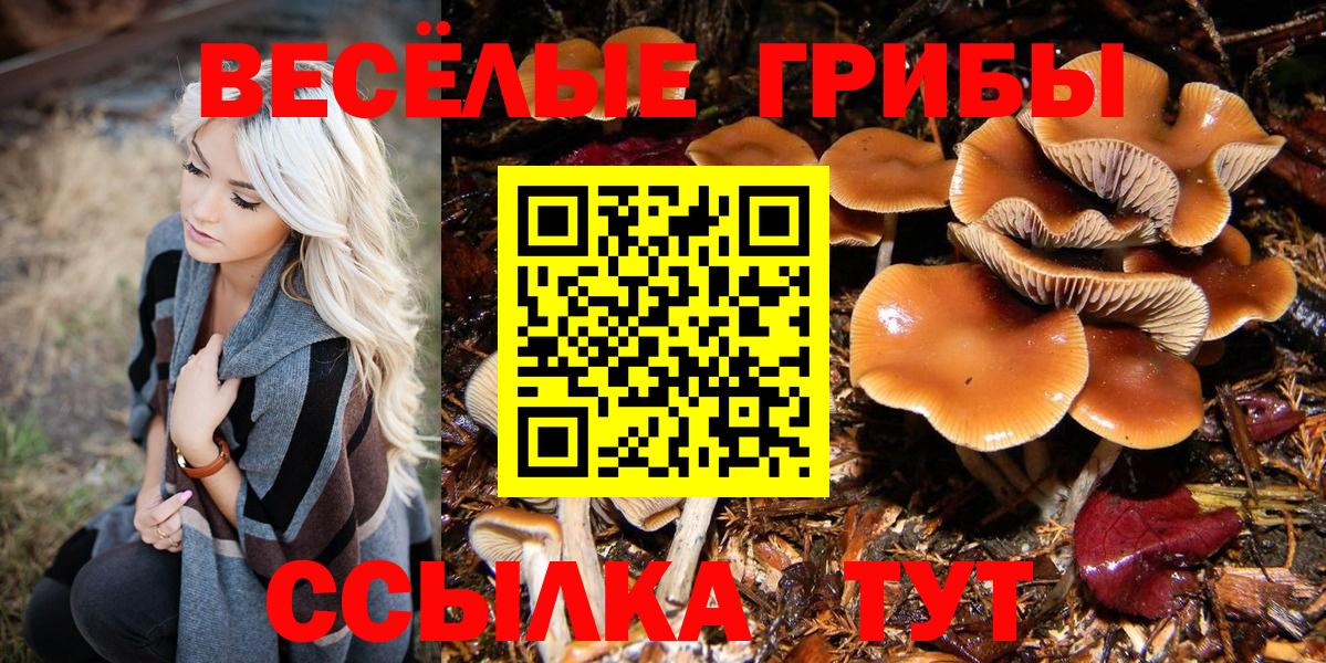 Галлюциногенные грибы ЛСД  Вход с VPN  Псков 